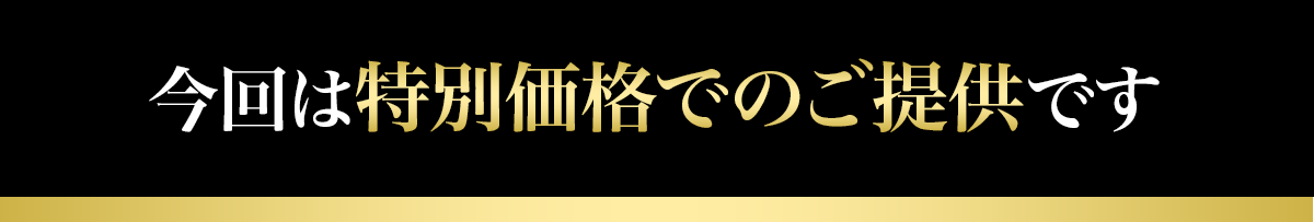 今回は特別価格でのご提供です